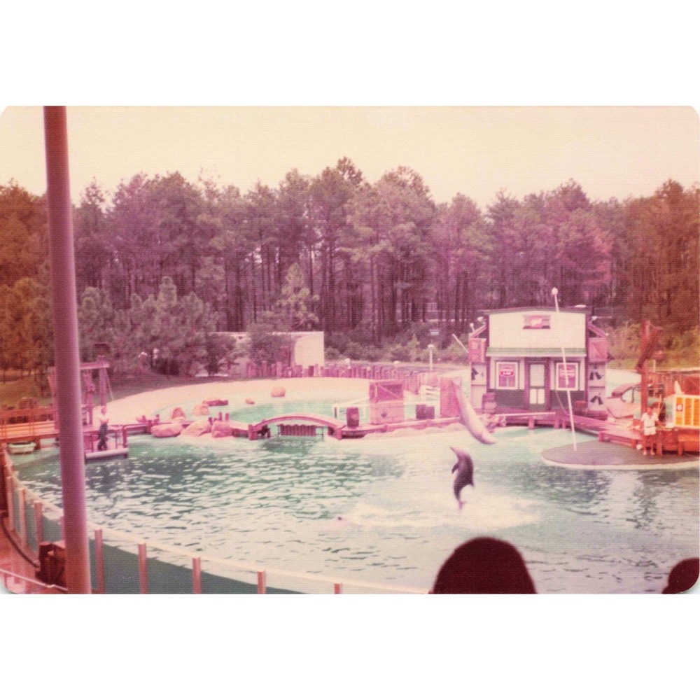Vintage 1970s Six Flags Great Adventure Orca Water-Ski Show Photo Lot of 11 - Picture 5 of 11